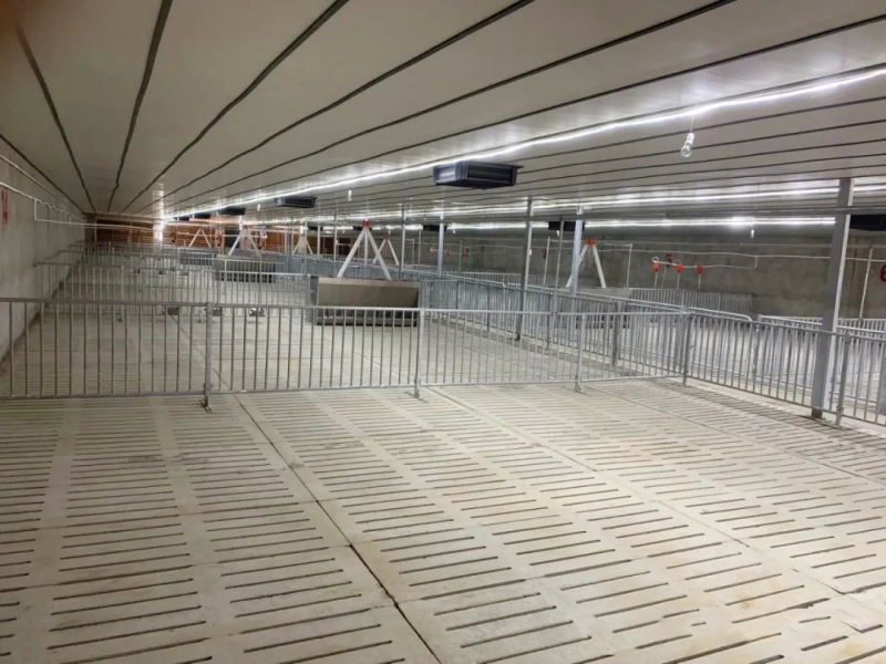 圖片223.png 圖片223.png